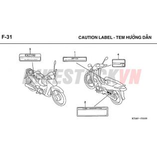 F-31_TEM HƯỚNG DẪN